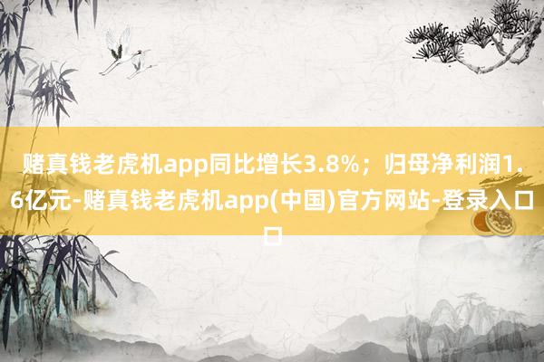 赌真钱老虎机app同比增长3.8%；归母净利润1.6亿元-赌真钱老虎机app(中国)官方网站-登录入口