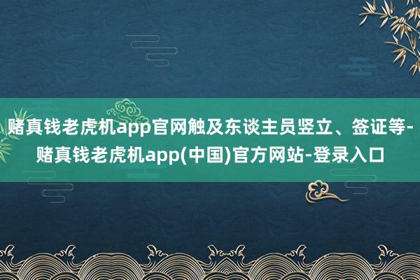 赌真钱老虎机app官网触及东谈主员竖立、签证等-赌真钱老虎机app(中国)官方网站-登录入口